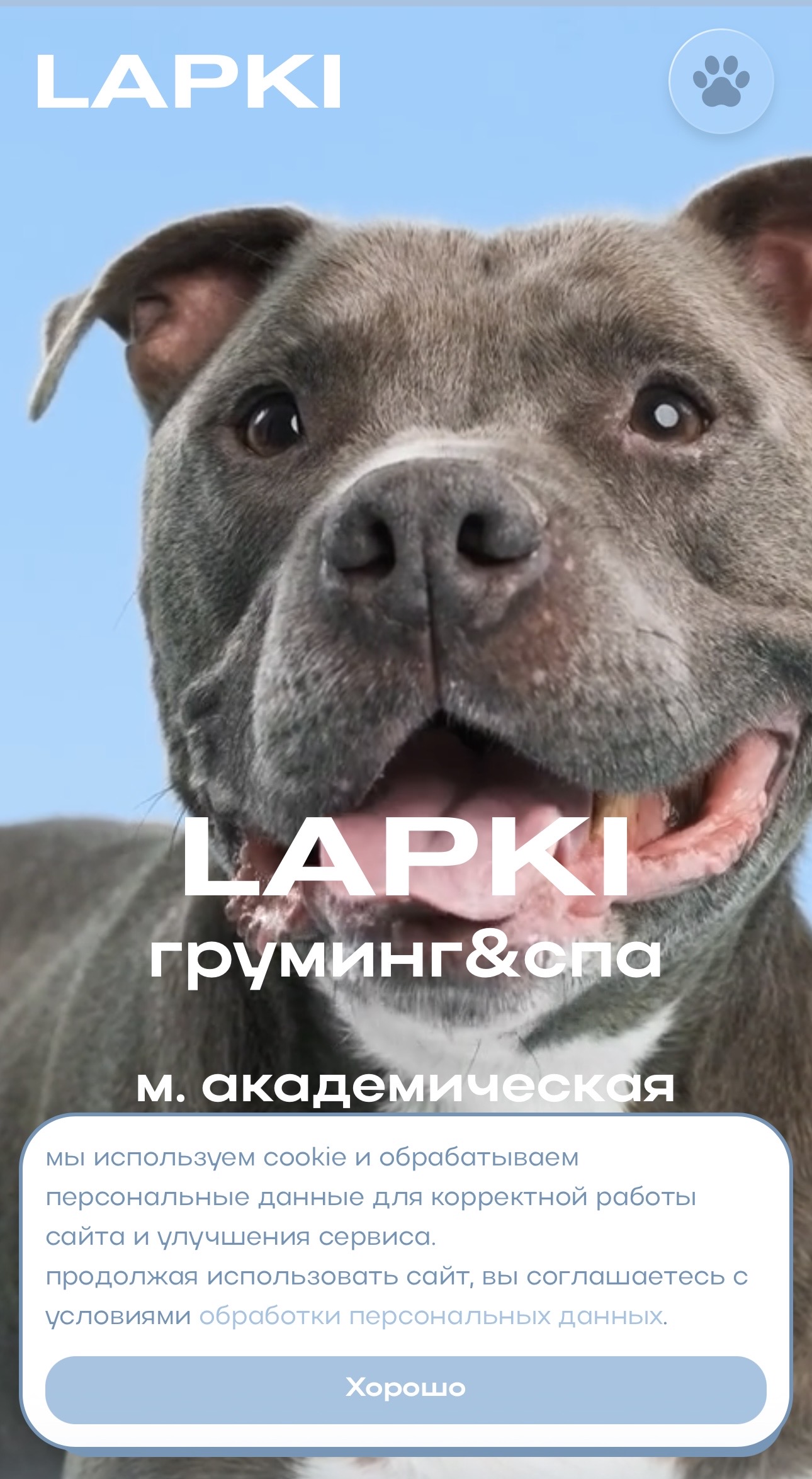 Пример сайта: груминг-салон, мобильная версия