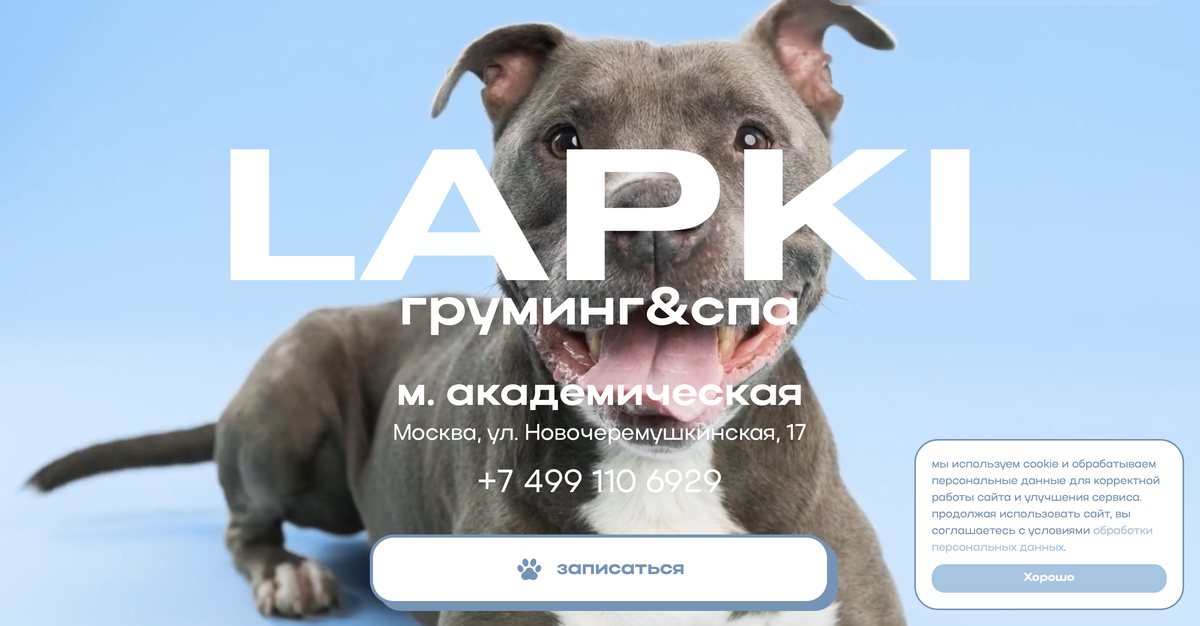 Пример сайта: груминг-салон LAPKI